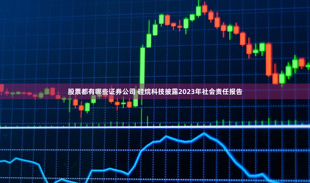 股票都有哪些证券公司 硅烷科技披露2023年社会责任报告