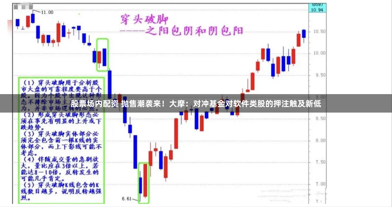 股票场内配资 抛售潮袭来！大摩：对冲基金对软件类股的押注触及新低